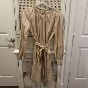 Velvet Long Sleeve Dress in Shimmering Beige
